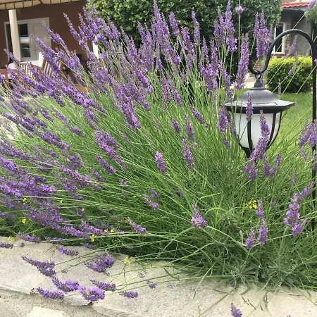 פארק נופש Anchor סינמורץ